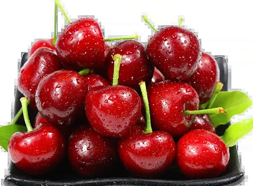 進(jìn)口車?yán)遄咏?jīng)香港運(yùn)到內(nèi)地的物流介紹