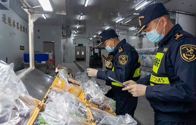 智利車厘子經香港轉陸運通關進口到珠海