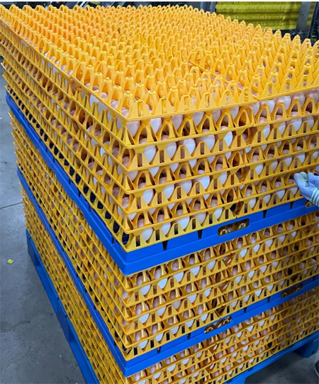 1770278701916030.png 企業微信截圖_17702786129481.png