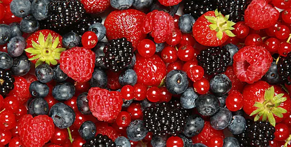 香港進口到內地：水果進口有哪些預檢要求？